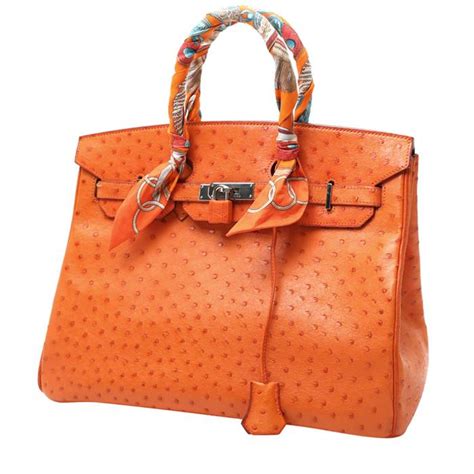 hermes birkin struzzo|hermes birkin history.